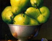 -Unknown - 斯通·罗伯茨